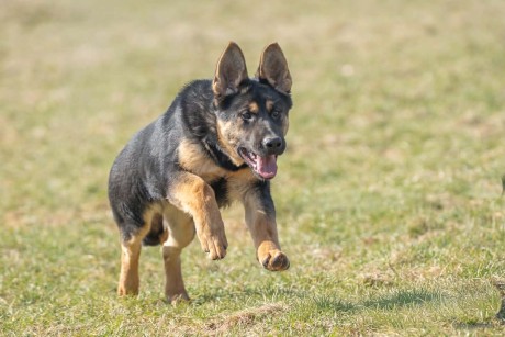 ca69ec70-67b9-4663-9045-5ca702732d09.jfif