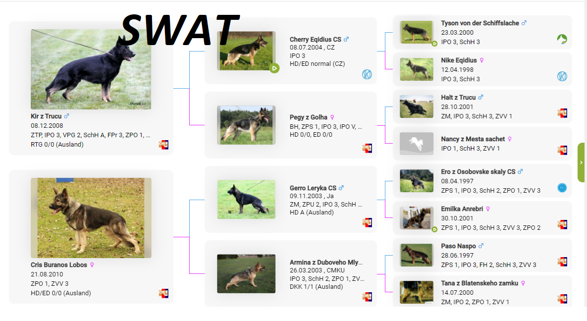 Swat von BR pedigree