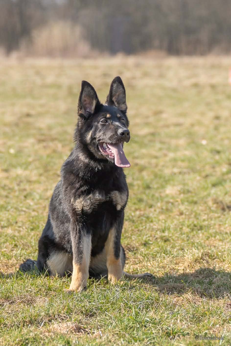 cd2664d2-3e49-452e-9a23-0a3a024f851c.jfif