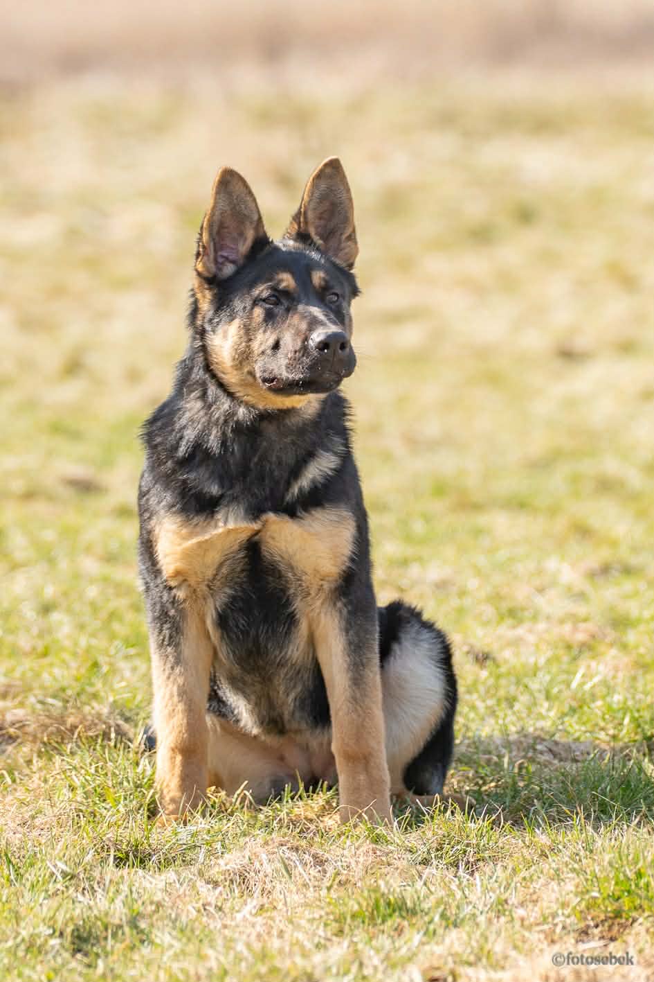 5e9eab96-c579-4a94-b5f8-e4817b98c8ed.jfif