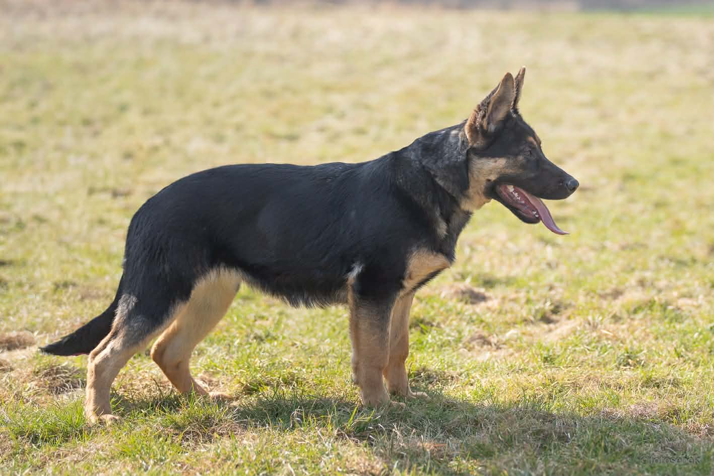 884f6a05-91fb-451e-9576-c194b380068c.jfif