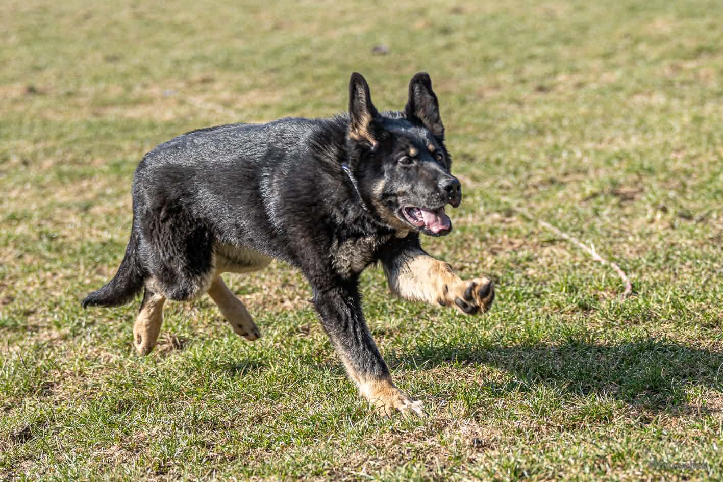 92576124-65c2-4df6-9abc-958258474e65.jfif