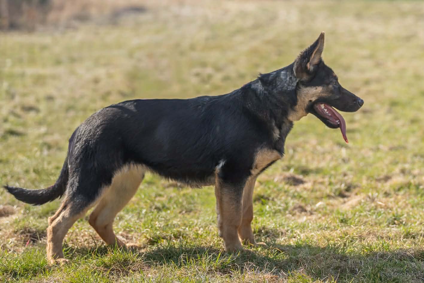 a9f954f7-7879-4c12-a277-b9b8522cf36f.jfif